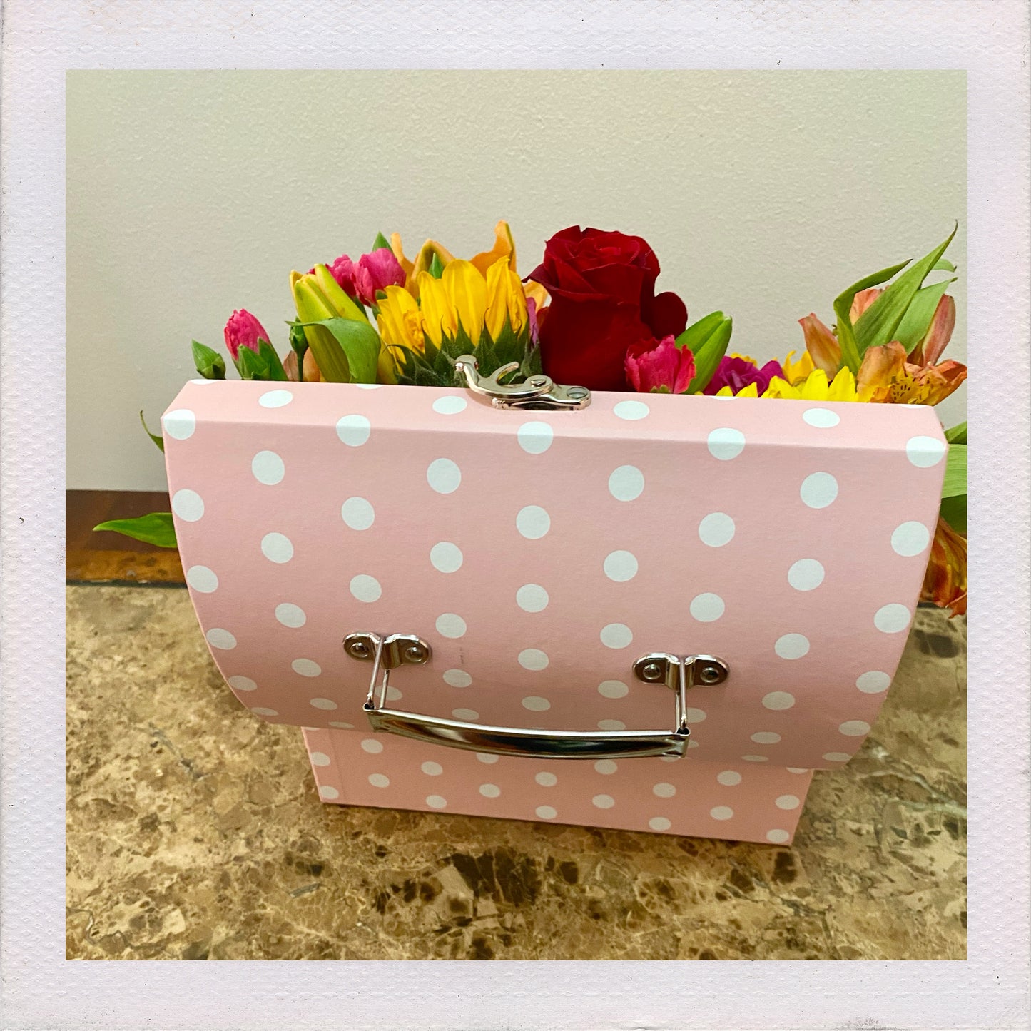 Box of surprises
