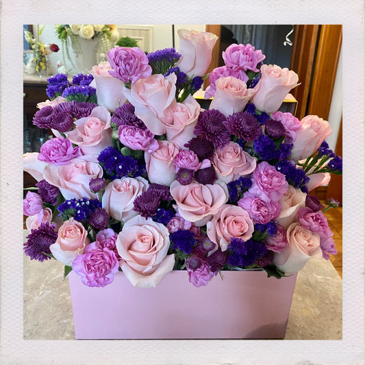 Lavander Dreams